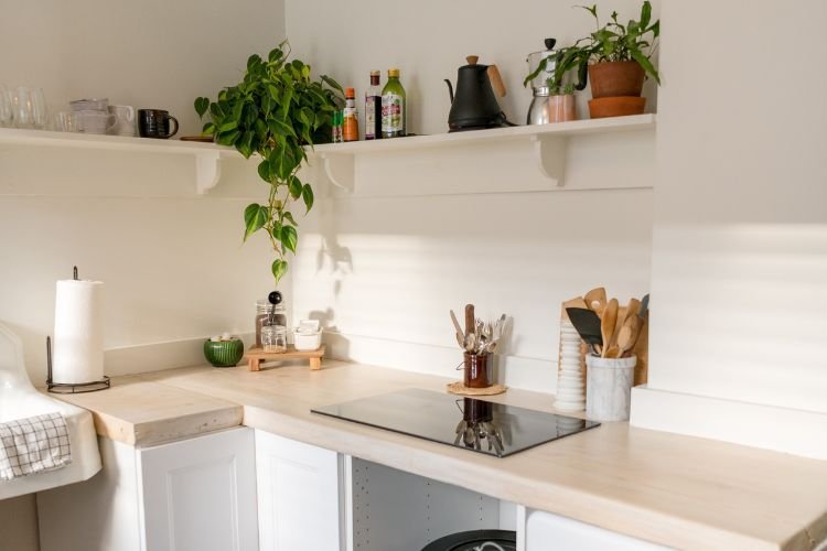 Peperômia: a planta de interior que faz toda a diferença na decoração.