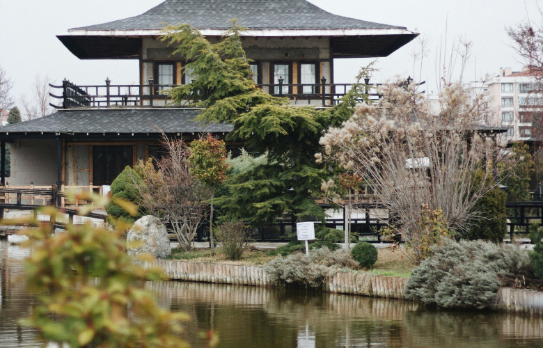 plantas-para-jardim-japones