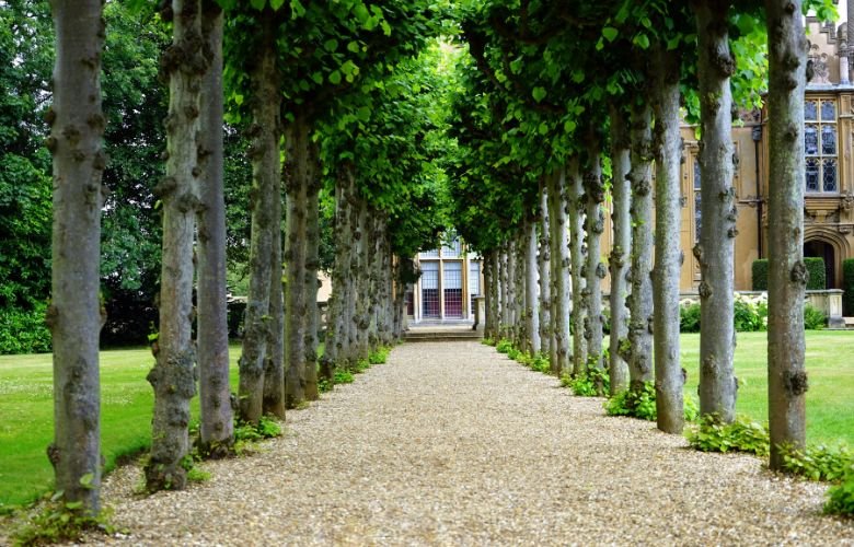 jardins-ingleses